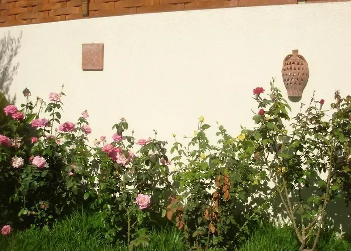 Barbara & Zvoronáta