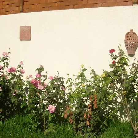 Barbara & Svoronata